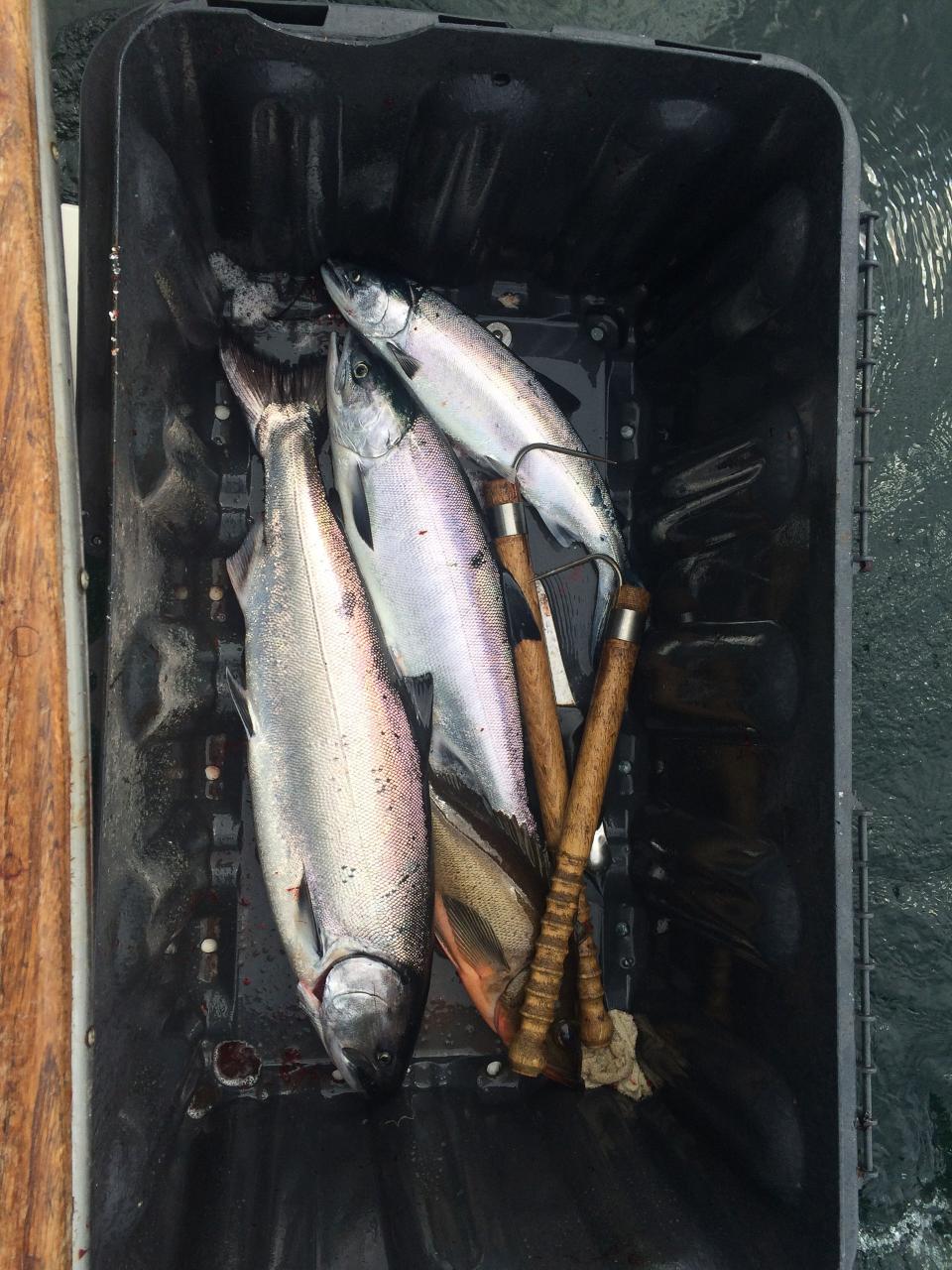 Alaska Salmon Fishing Charter Sitka Alaska Outfitters Reservations
