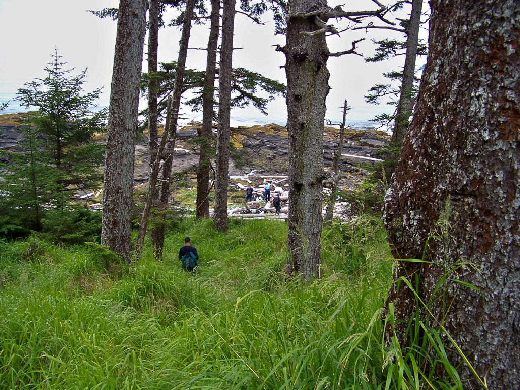 Volcanic Coastline Hike