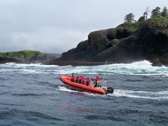 Goddard Hot Springs and Volcano Coast Ocean Rafting