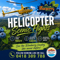 Mundubbera Blueberry Festival 