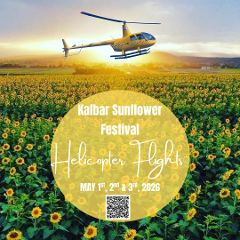 Kalbar Sunflowers 2026