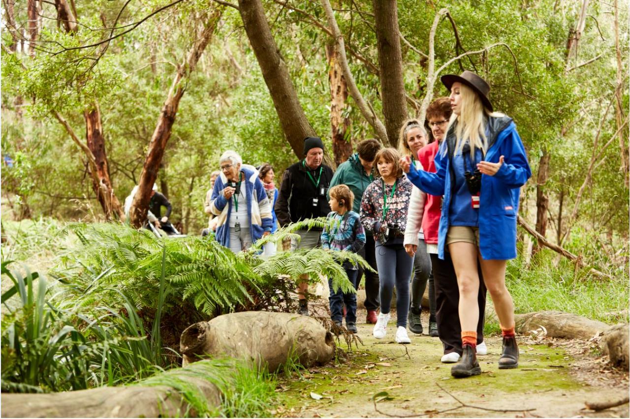 Walk with Wildlife Tour