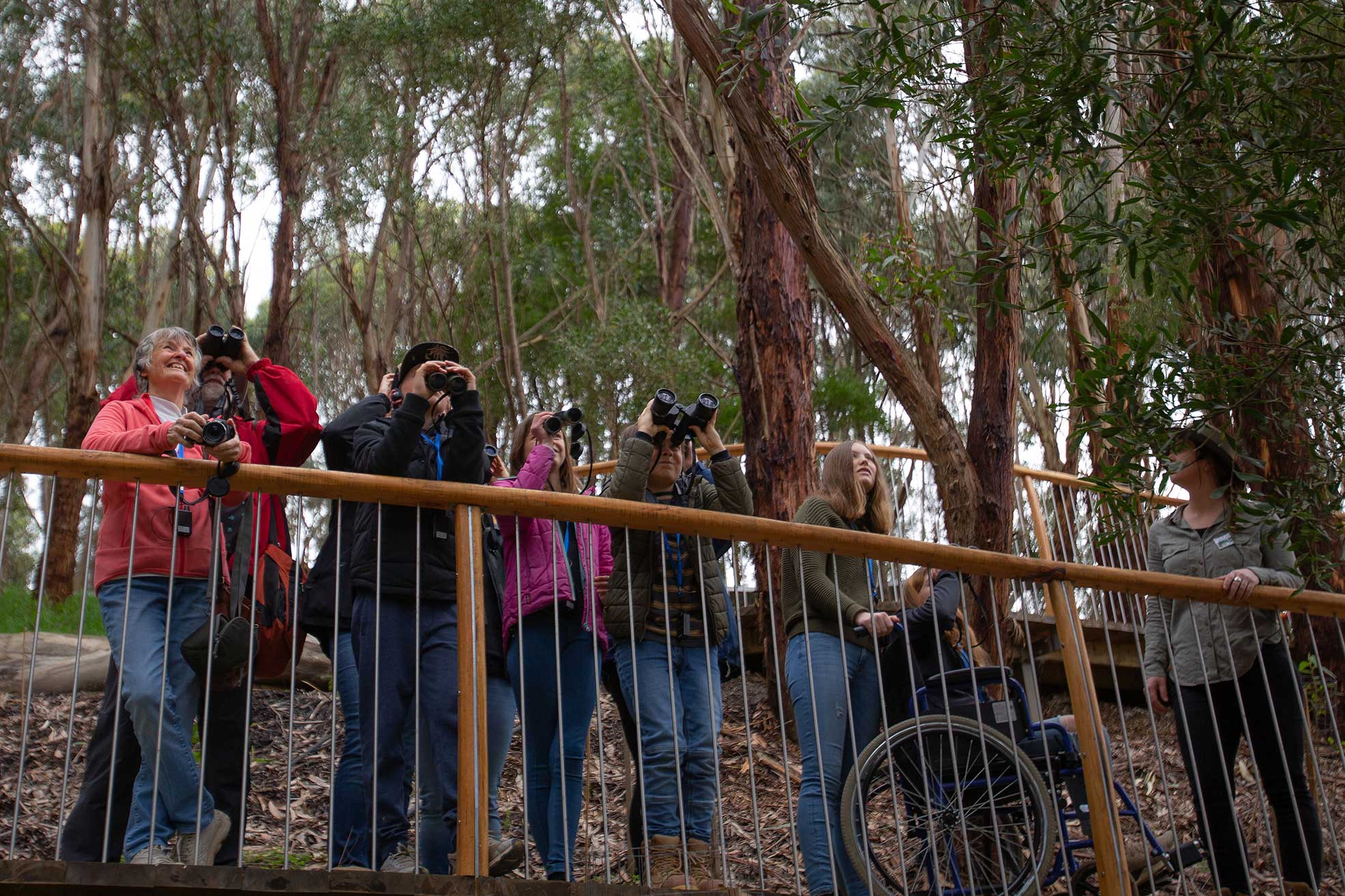 Walk with Wildlife - guided tour