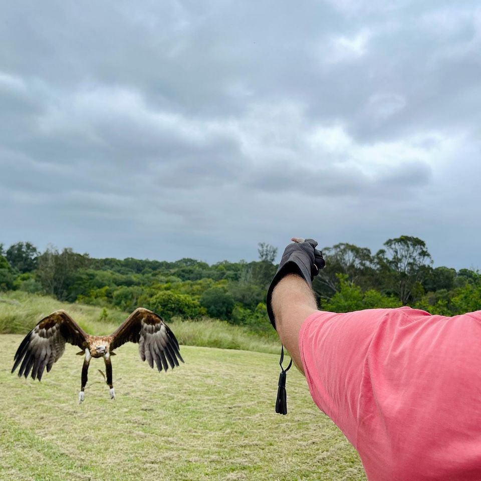 Eagle Experience - Standard