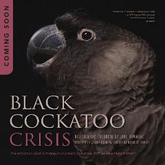 VIP Tickets to Black Cockatoo Crisis Premiere - 11th February 2023 Ritz Cinemas Randwick 