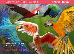 Parrots of the World Experience 