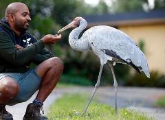 Birds of the World Experience 