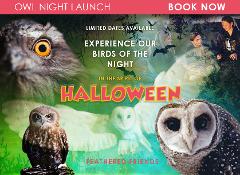 Owl Night Shared Experience (Up to 15 visitors in a group booking)