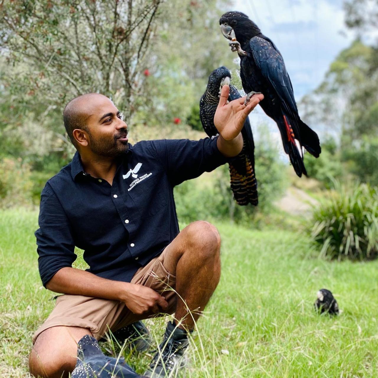 Black Cockatoo Conservation Experience 