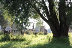 Volunteer Introduction at East Perth Cemeteries