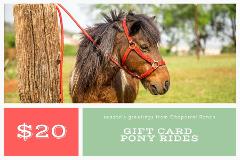 $15 Gift Card - Pony Ride 