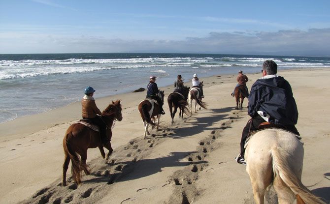 90 Minute Beach Ride - Ocean Beach - San Francisco