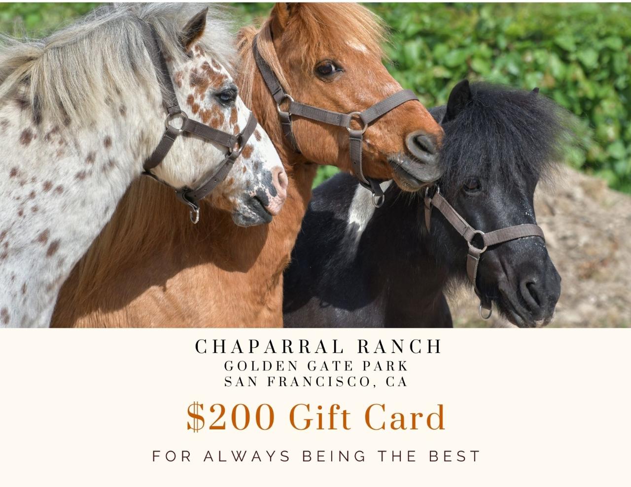 $200 Gift Card - Golden Gate Park