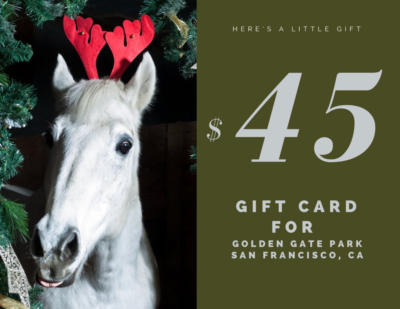 $45 Gift Card - Golden Gate Park