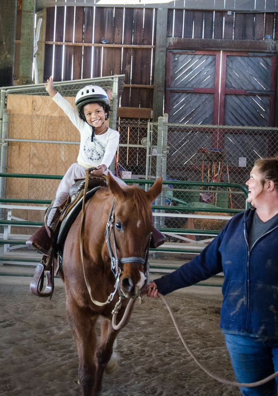 15 Minute Pony Rides - Golden Gate Park