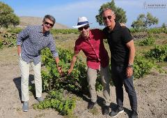 Private Morning Tour: Santorini Wine Adventure with Tastings and Tapas