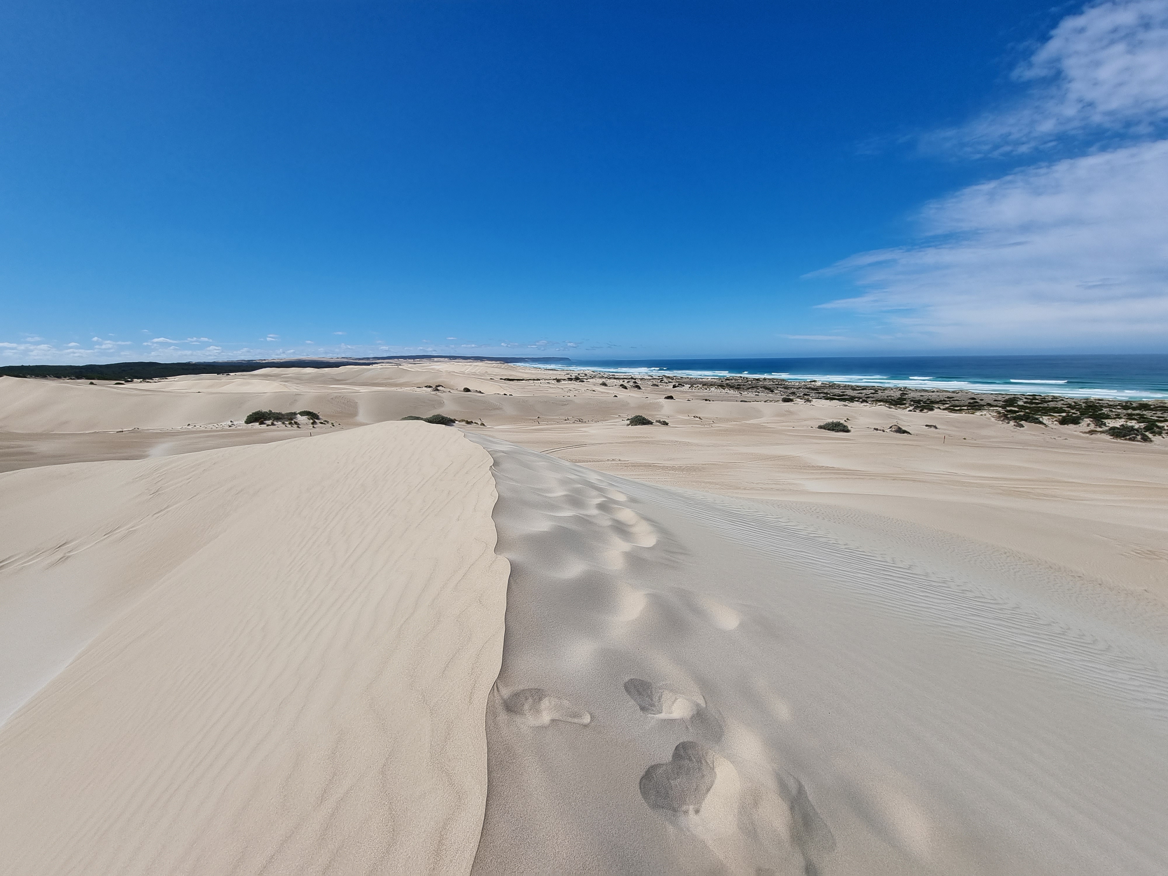 Coffin Bay National Park Sightseeing & Off-road Tour