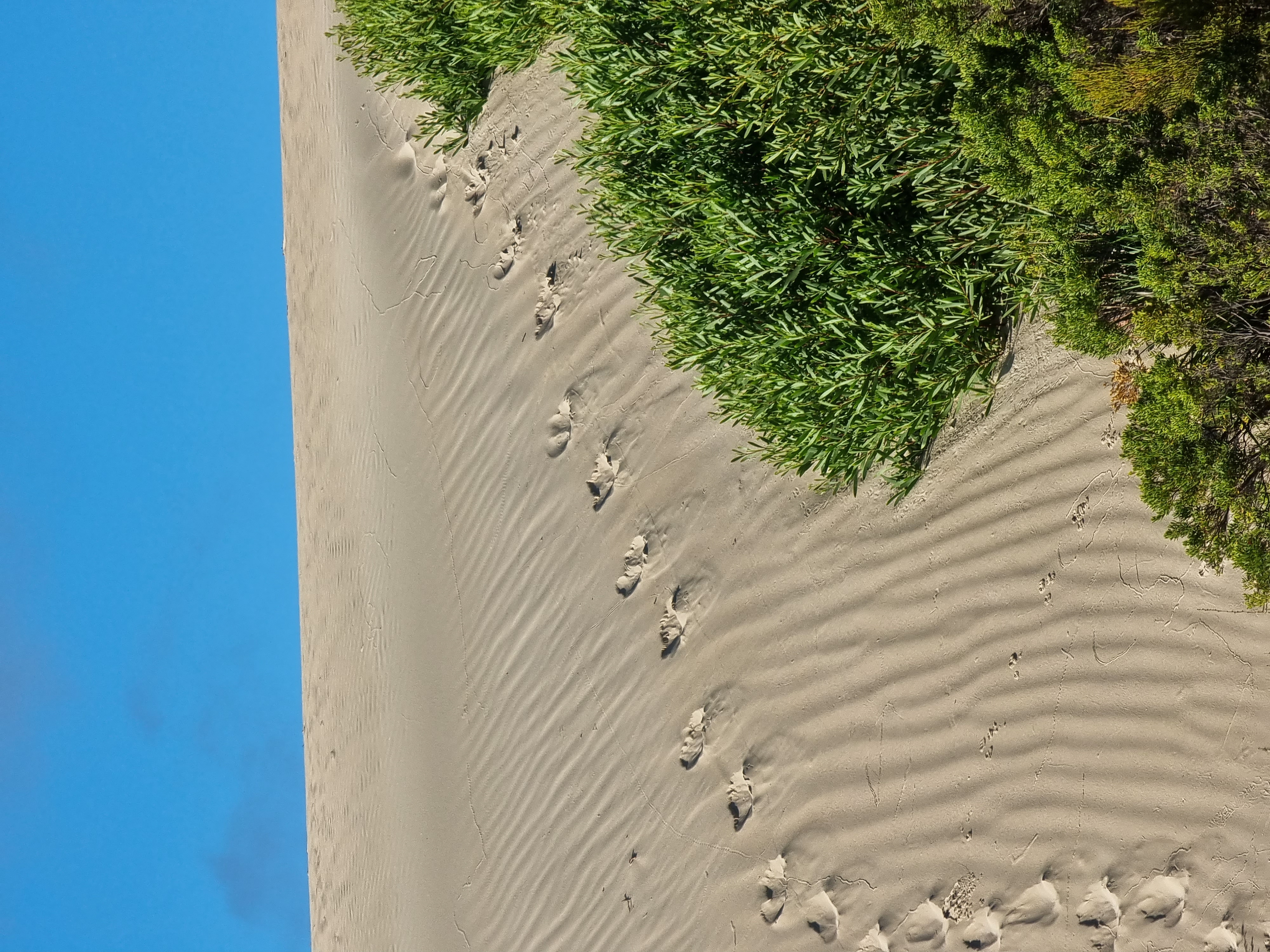 Port Lincoln National Park Sightseeing & Off-road Tour