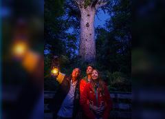 Tane Mahuta Twilight Tour