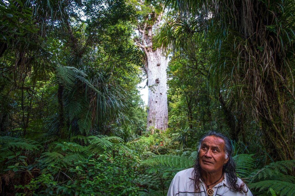 Meet Tane Footprints Waipoua Reservations
