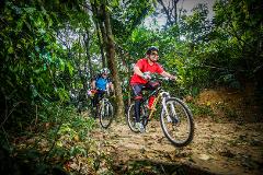 Private Half-Day National Botanic Garden Cycling Tour from Kuala Lumpur