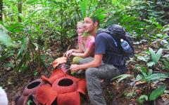 Rafflesia Trekking