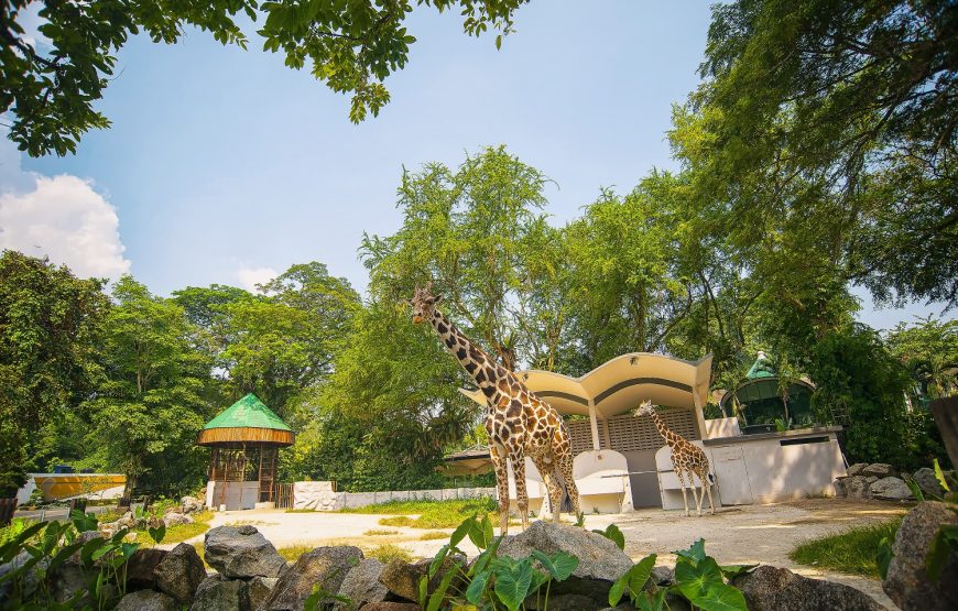 Zoo Negara Admission Ticket