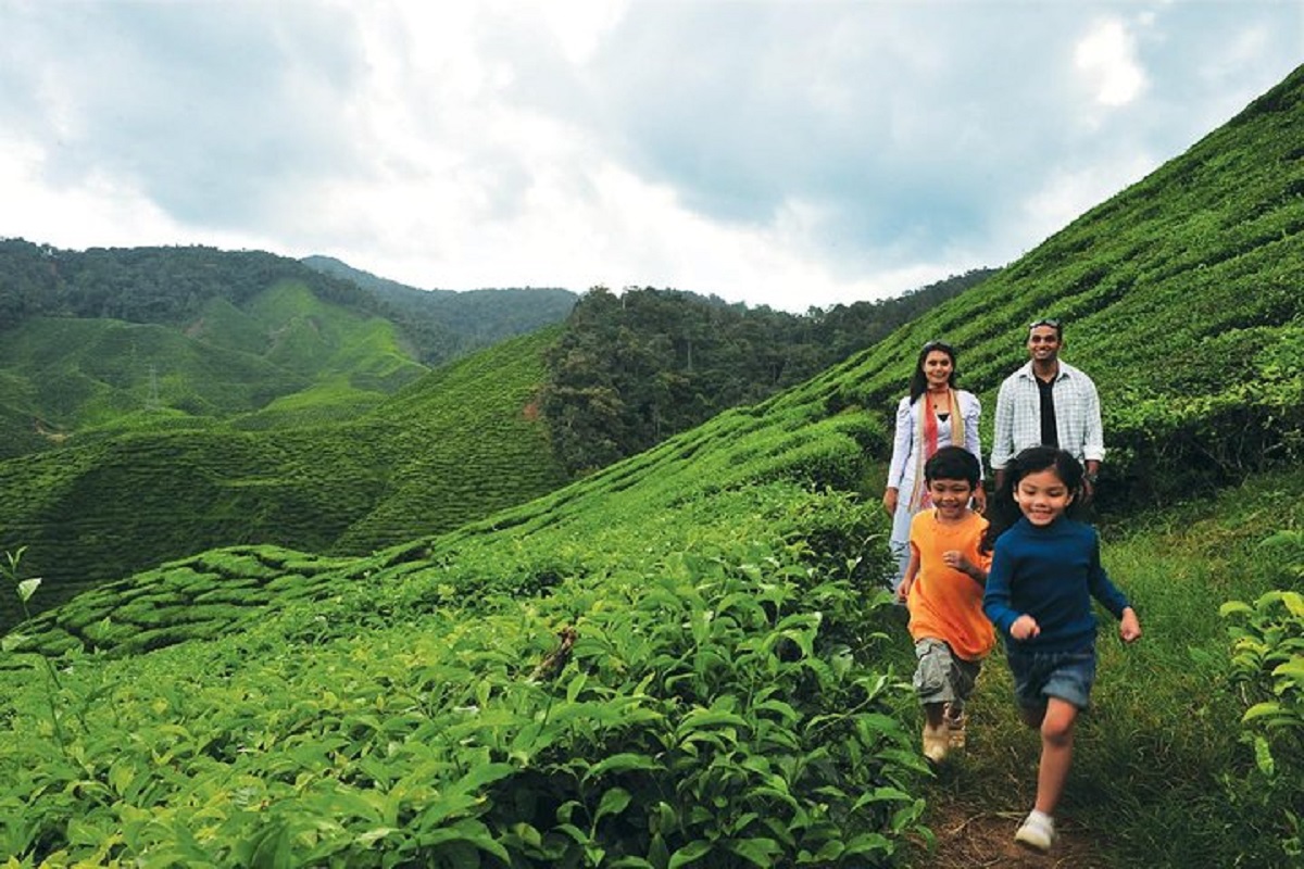 Private Nature Trip to Cameron Highlands from Kuala Lumpur