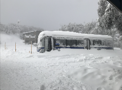 Pre Season Mansfield to Mt Buller 1630 (Sunday Only)