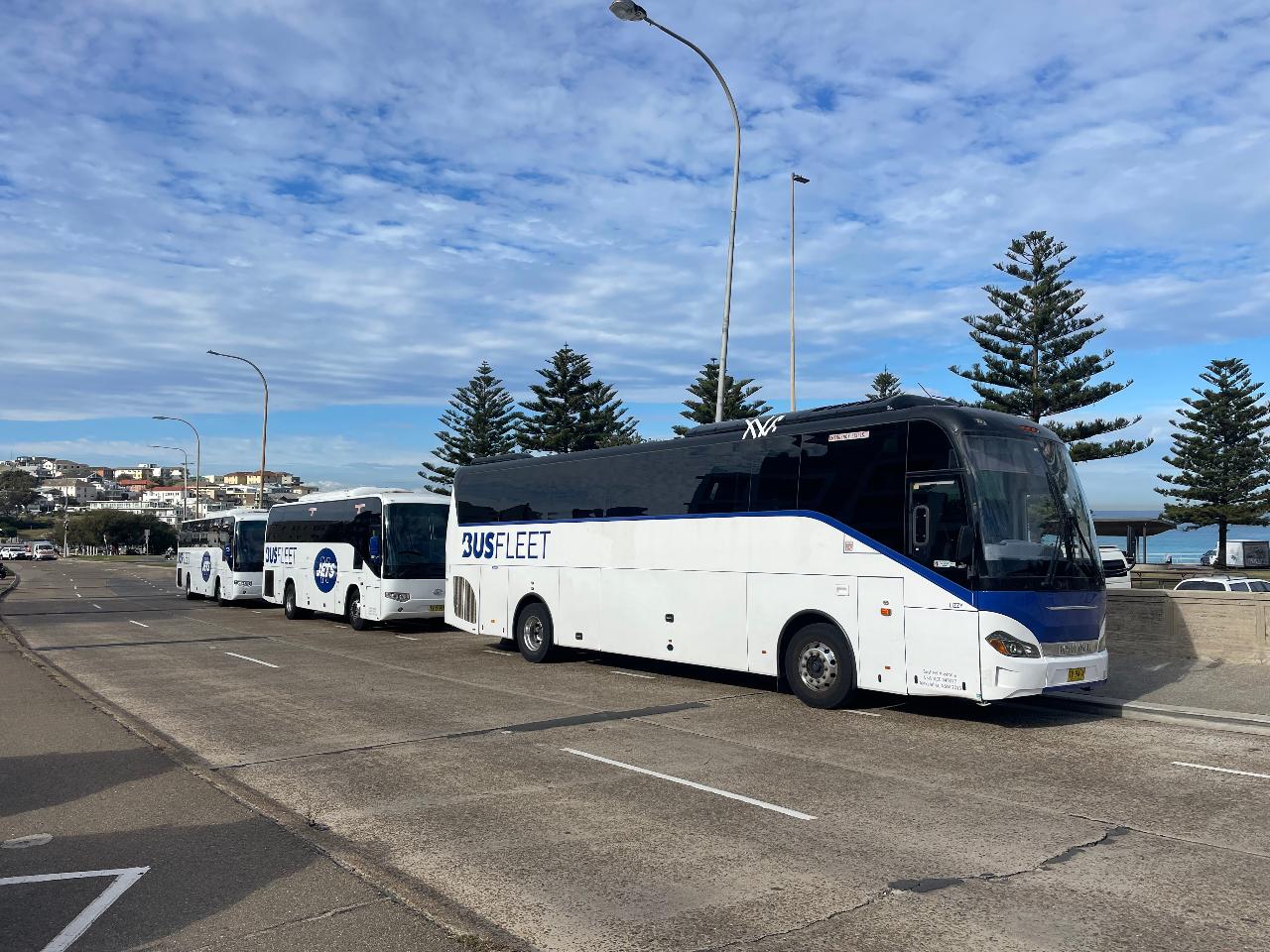 Official Lost Paradise Public Bus - Bondi to Festival Site