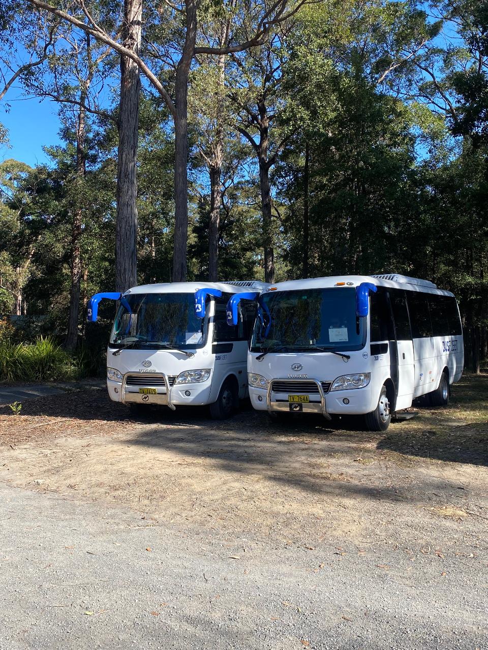 Official Lost Paradise Public Bus - Festival Site to Gosford
