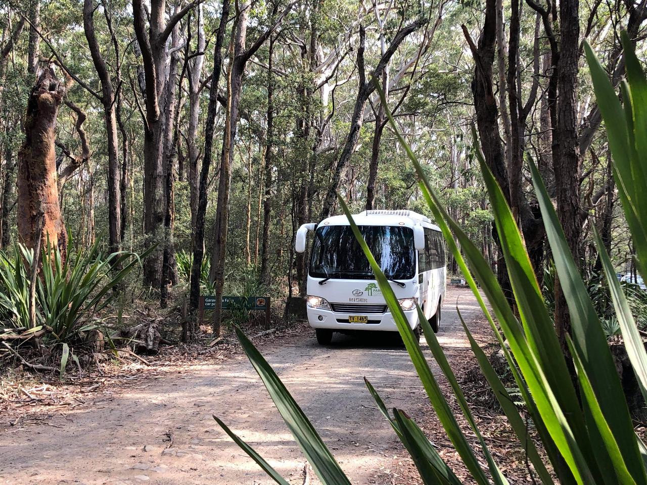 --Sutherland - Royal National Park - Waterfall 10:30am Shuttle