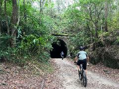 Forest Explorer Bike Ride