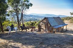 Horse Trail & Wine Tour of the Yarra Valley