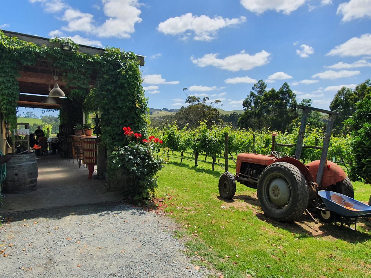 Food & Wine Tour of South Gippsland (Private)