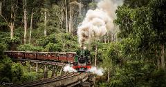 Puffing Billy & The Dandenongs from Melbourne (with Port Phillip Ferries)