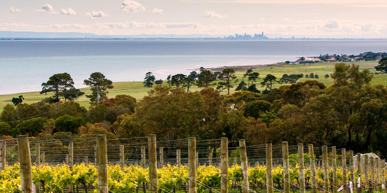Bellarine Peninsula Private Wine Tour