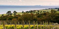 Bellarine Peninsula Private Wine Tour