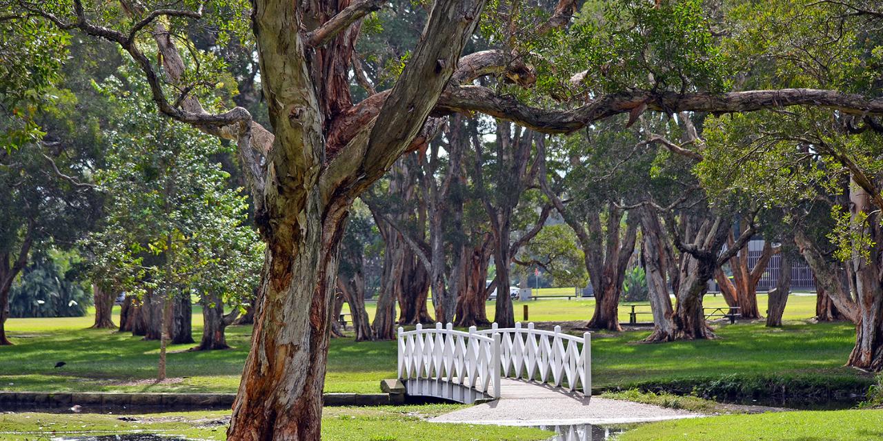 Family Mystery Picnic - Centennial Park