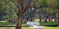 Family Mystery Picnic - Centennial Park