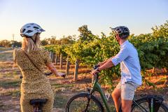 Bike to Winery - Guided E-Bike tour