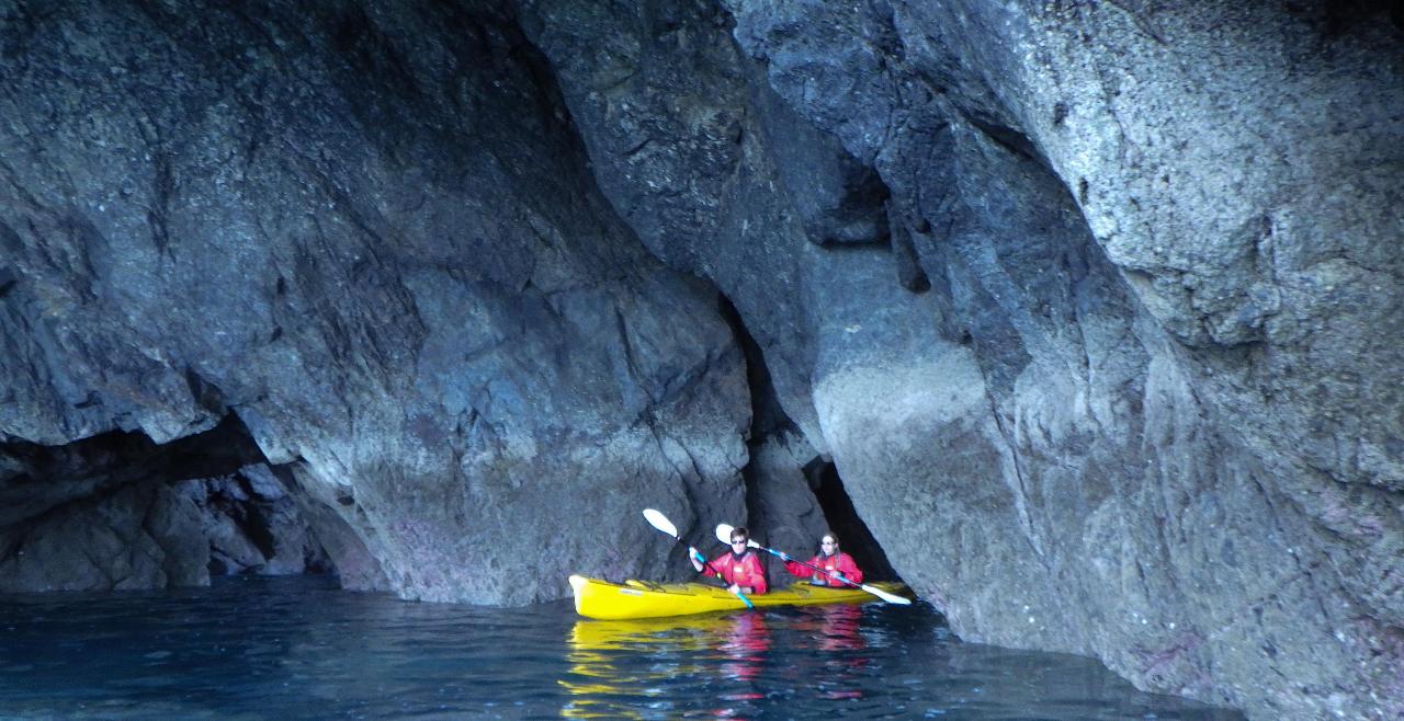Caves and Coves Eco Tour - Gift Card