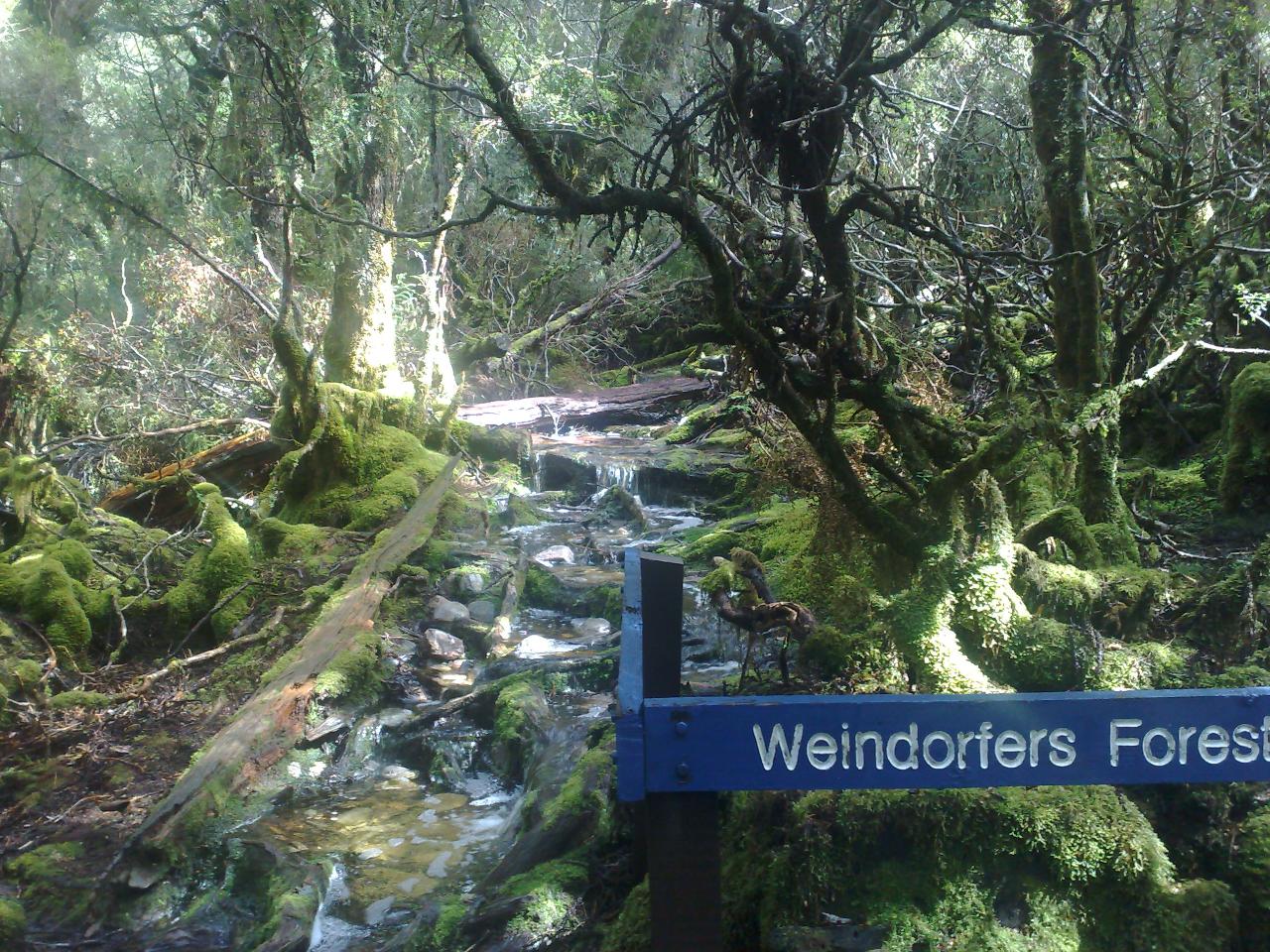 3Day West Coast-Wilderness- Tour