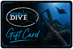 Yongala Dive Cash Value Gift Card