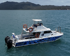 Ultimate Magnetic Island Experience 