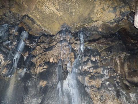 Espeleolog__a