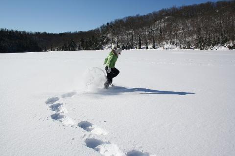 activity_1096681_1280