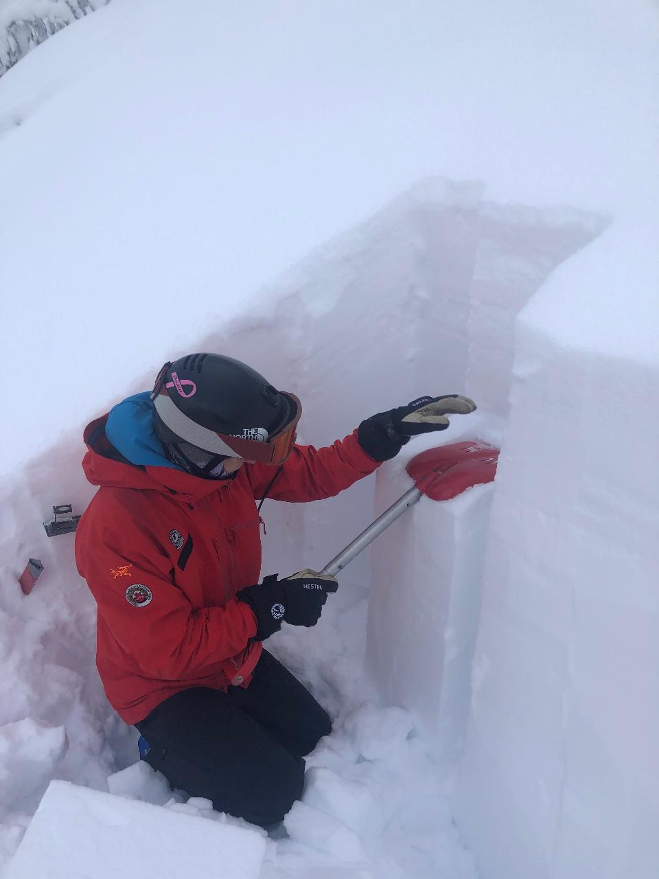 Avalanche Skills Training (AST) 1 Plus
