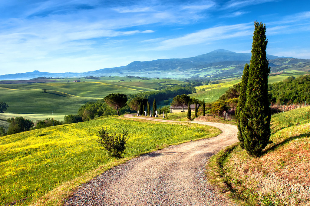 Tuscan Wine and Olive Oil Trail 