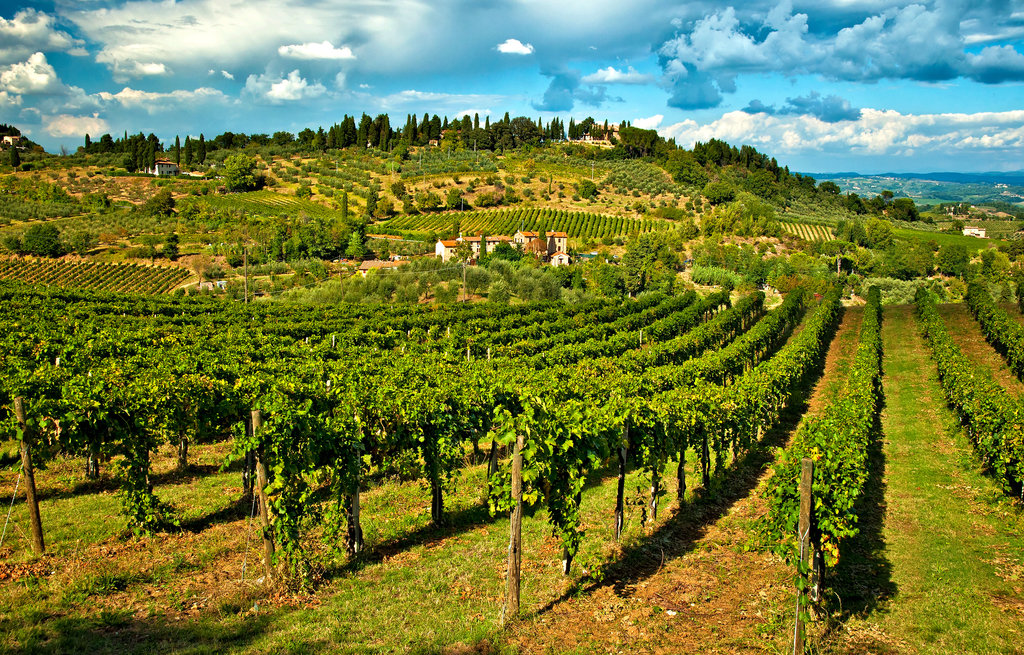 Roman Countryside Vineyards and Wine Tasting